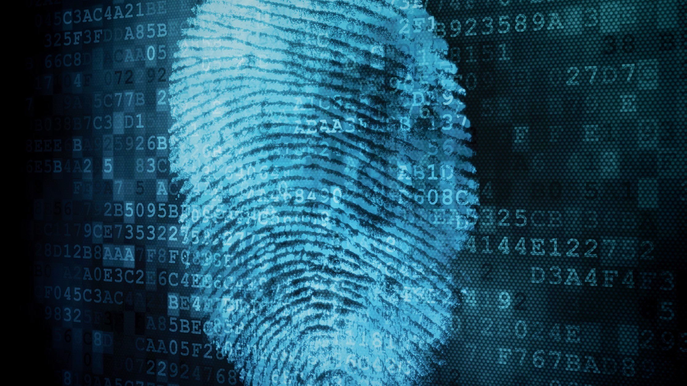 IT Pro Expert engineers working on business IT security and data privacy